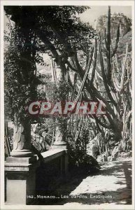 Modern Postcard Monaco Exotic Gardens