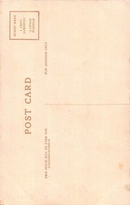 Animals Anthropomorphic Cat Little Boy Blue Art signed Borges postcard B921