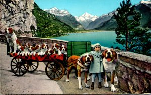 Switzerland Fluelen St Bernhad Zwinger 1968