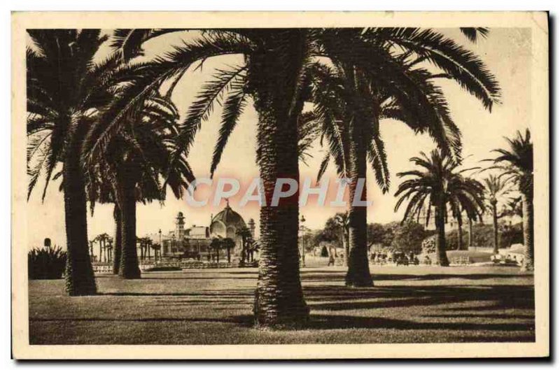 Old Postcard Nice Le Jetee view through the Palms