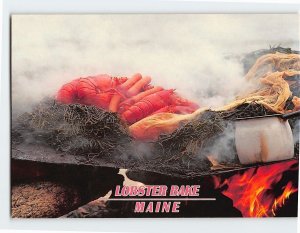 Postcard Lobster Bake Maine USA