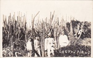 Cuba Sailors Standing In Cactus Field Real Photo