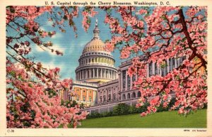 Washington D C United States Capitol Building Through The Cherry Blossoms 1956