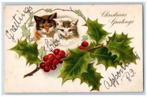 Christmas Postcard Greetings Cat Kitten Holly Berries Apponaug RI Nash Embossed