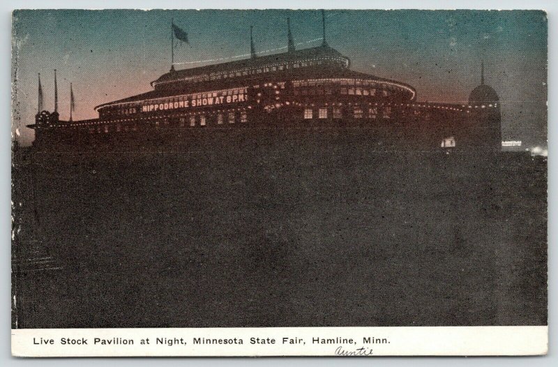 Hamline Minnesota State Fair~Live Stock Pavilion Night Lights~Hippodrome~c1910 