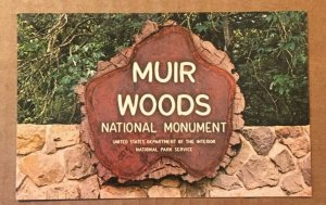 VINTAGE UNUSED  POSTCARD MUIR WOODS NATIONAL MONUMENT MILL VALLEY CAL.