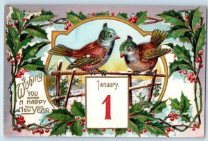 New Year Postcard Birds And Holly Berries Embossed Corvallis Oregon OR c1910's