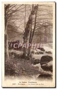 Old Postcard Switzerland Vendeenne Mortagne Falls d & # 39eau Port