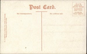 Cape Cod Massachusetts MA Agriculture Cranberry Farming c1910s Postcard