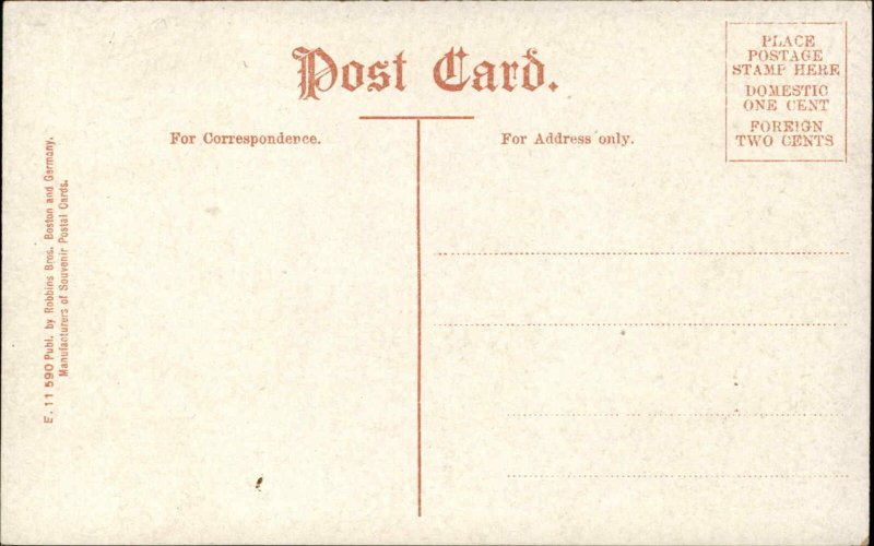 Cape Cod Massachusetts MA Agriculture Cranberry Farming c1910s Postcard