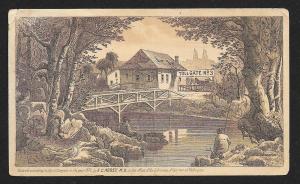 VICTORIAN TRADE CARD Dr Abbey Missing Animals Puzzle