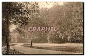 Old Postcard Parc de St Cloud Allee Grande Gerbe