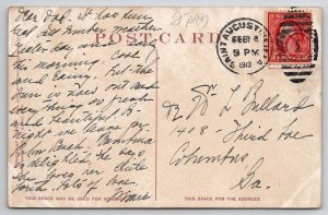 St Augustine Florida A Live Oak Drive 1913 Postcard E23