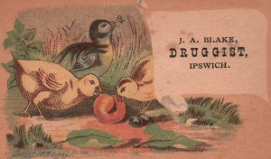 1880s-90s Small Chicks Eating Worm J.A. Blake Druggist Ipswich Trade Card