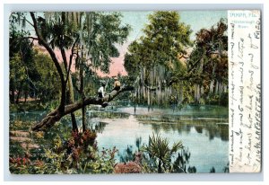 C. 1905-07 Tampa Fla. Hillsborough Postcard F144E