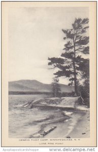 Lone Pine Point Geneva Point Camp Winnipesaukee New Hampshire Artvue