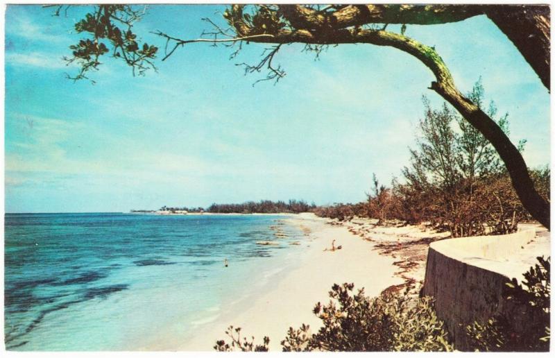 Bahamas New Providence Caves Beach 1970s Postcard