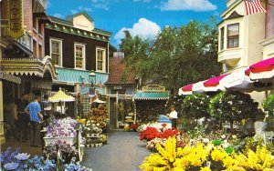 Disneyland, Flower Mart, Main Street, 1-269, Old Postcard