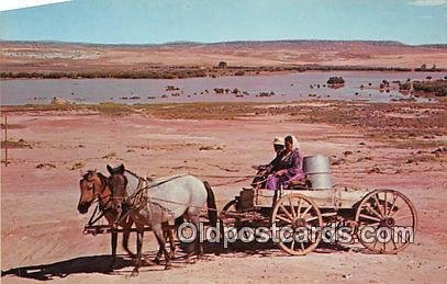 Horse Drawn Wagons Utah, Arizona, New Mexico, USA Unused 