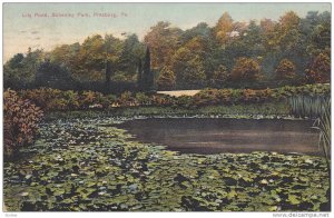 Lily Pond, Schenley Park, Pittsburg, Pennsylvania, PU-1908