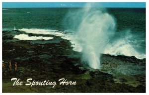 The Spouting Horn Kauai Hawaii Postcard