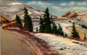 Timberline in the Rockies BIN