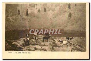 Old Postcard Lac des Perches Alsace Goats