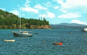 Vintage Postcard View From Town Landing Bar Harbor Maine ME By Plastichrome