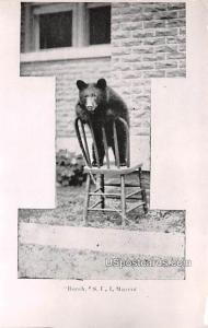 Burch Bear Iowa City IA Unused
