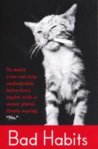 Humour Cat Smoking Cigarette Bad Habits