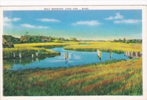 Massachusetts Cape Cod Typical Salt Marsh 1949
