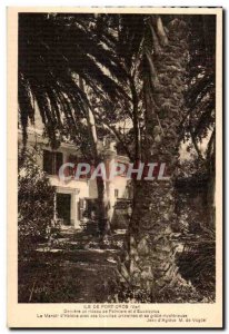 Old Postcard Ile de Port Cros (Var) Behind a curtain Palms and Eucalyyotus of...