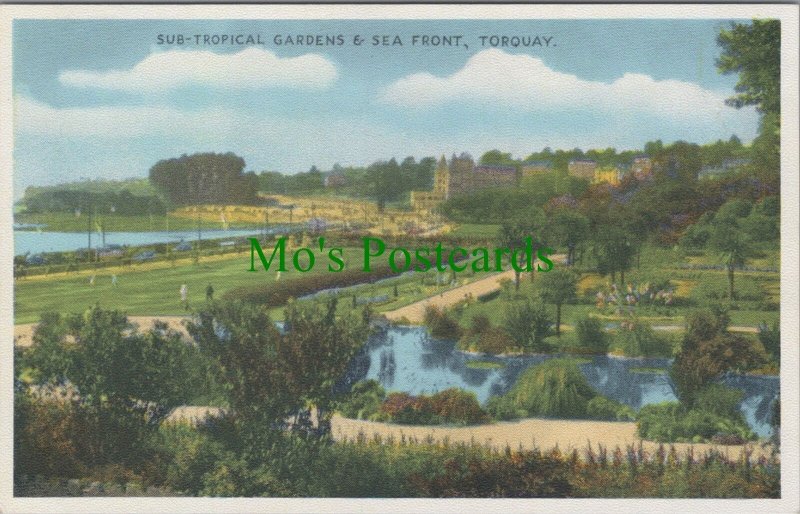 Devon Postcard - Torquay Sub-Tropical Gardens & Sea Front  RS36059