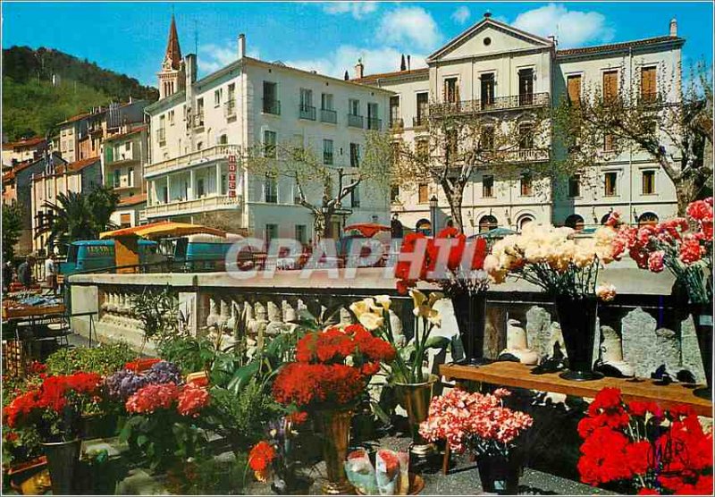 Modern Postcard Amelie les Bains (P O) Mondon