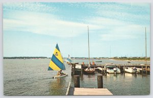State View~Sailboats By Harbor On Rehoboth Bay Delaware~Vintage Postcard