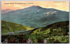 Burlington Vermont 1909 Postcard Camels Hump