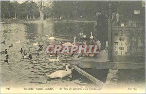 Parisian Scenes COPY the Bois de Boulogne Grand Lake Swans