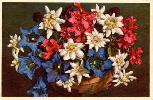 Flowers -  Edelweiss, Rhododendron, Gentiana      (Thor & Gyger #1498)