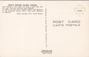 Trout Fishing Prince Edward Island PE between Montrose and Alberton Postcard H30