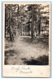 Toronto Ontario Canada Postcard High Park c1910 Antique Unposted RPPC Photo