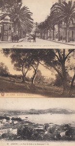Ajaccio Avenue De Premier Consul Le Fond Du Golfe Antique Postcard