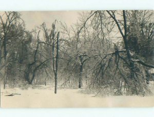 Old rppc NATURE SCENE Great Postcard AB0568