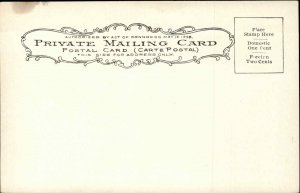 Memphis TN Hotel Gayoso Pre-1910 Private Mailing Card Postcard 