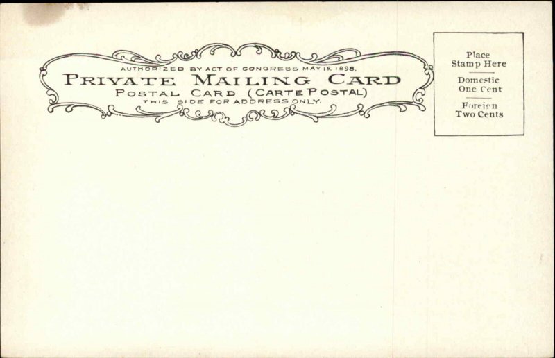 Memphis TN Hotel Gayoso Pre-1910 Private Mailing Card Postcard