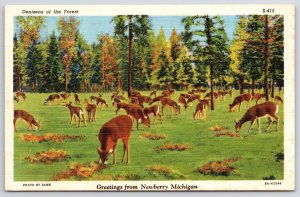 Greetings From Newberry Michigan MI Denizens Of The Forest Pastoral Postcard
