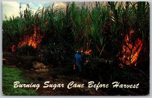 Honolulu Hawaii 1960 Postcard Burning Sugar Cane Fields