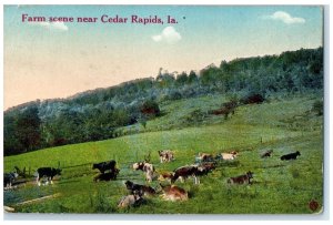 1910 Cows Trees Farm Scene Near Cedar Rapids Iowa IA Posted Vintage Postcard