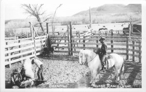 Postcard RPPC Nevada Ranch scene Branding & Horses 23-5822