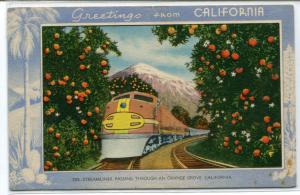 Santa Fe Streamliner Orange Grove Greetings From California 1910c postcard