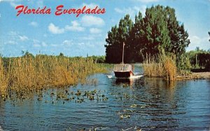 Air Boat Ride thru the Everglades Florida  